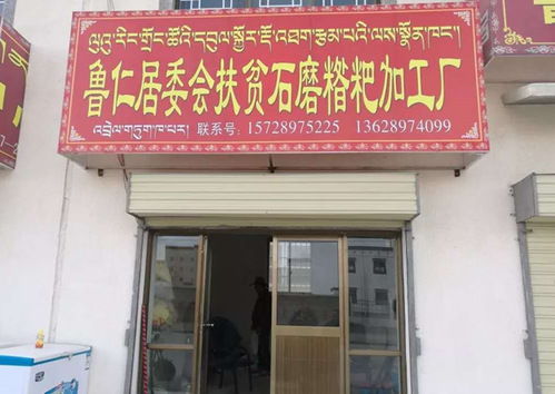 我校段玉平校友榮獲 全國脫貧攻堅(jiān)先進(jìn)個人 稱號丨將扶貧詩篇寫在海拔4700米