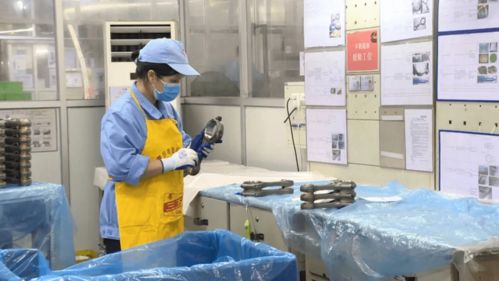 計劃總投資3.6億元 四會一企業正建設70000平方米的新廠項目