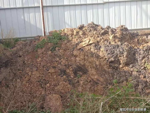 滑縣小鋪鄉大武莊照喜新型墻體材料廠 污染環境,亟待治理