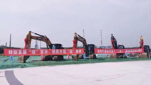 吸引企業紛紛飛回上海，金山這家園區有何奧秘——財務咨詢助力企業騰飛