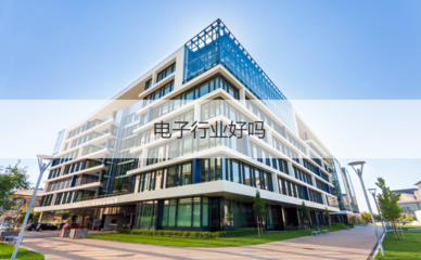 柳州微電子行業(yè) 企業(yè)待遇、工作體驗(yàn)與投資管理分析